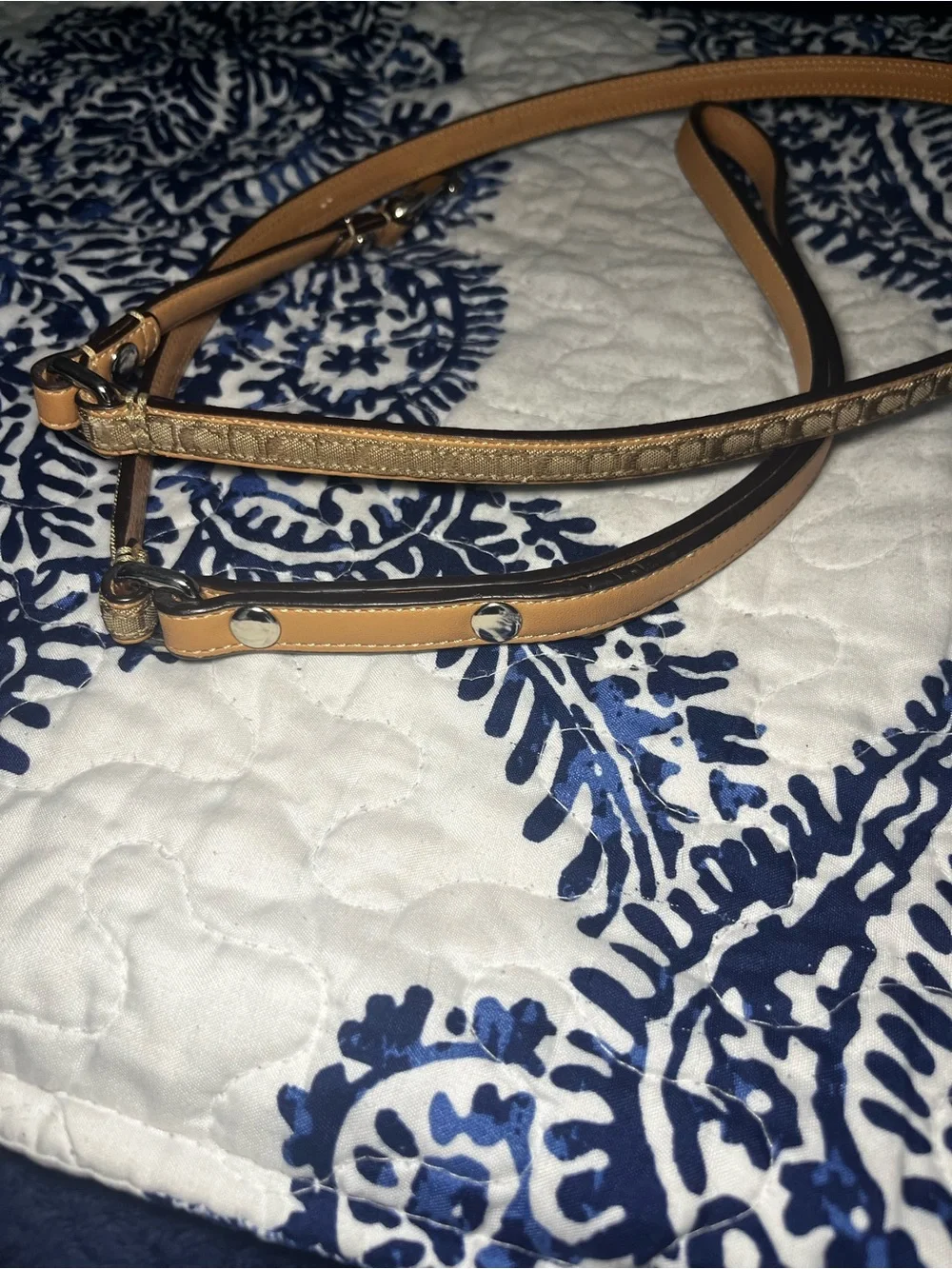 Coach premium leash